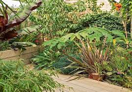 طراحی چند لایه ای یکی از بهترین روش های طراحی باغچه در حیاط کوچک منزل است
