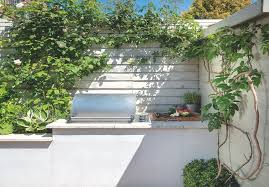 یک مدل طراحی باغچه در حیاط کوچک منزل طرح هایی است که براساس مناطق گرمسیری الهام گرفته شده اند.