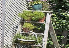 نردبان قدیمی را برای نگهداری گلدان ها استفاده کنید روش دیگری که برای طراحی باغچه در حیاط کوچک
