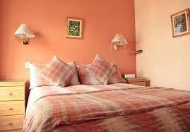 گزینه بعدی برای رنگ دکوراسیون داخلی اتاق خواب، رنگ نارنجی است 